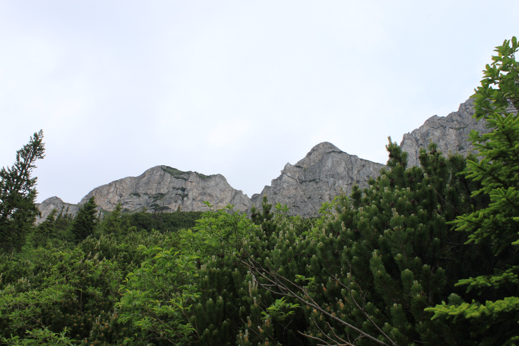 Abbildung 1: Ein erster Blick hinauf zu den Felsen, wo wir heute noch durch mussten/durften.