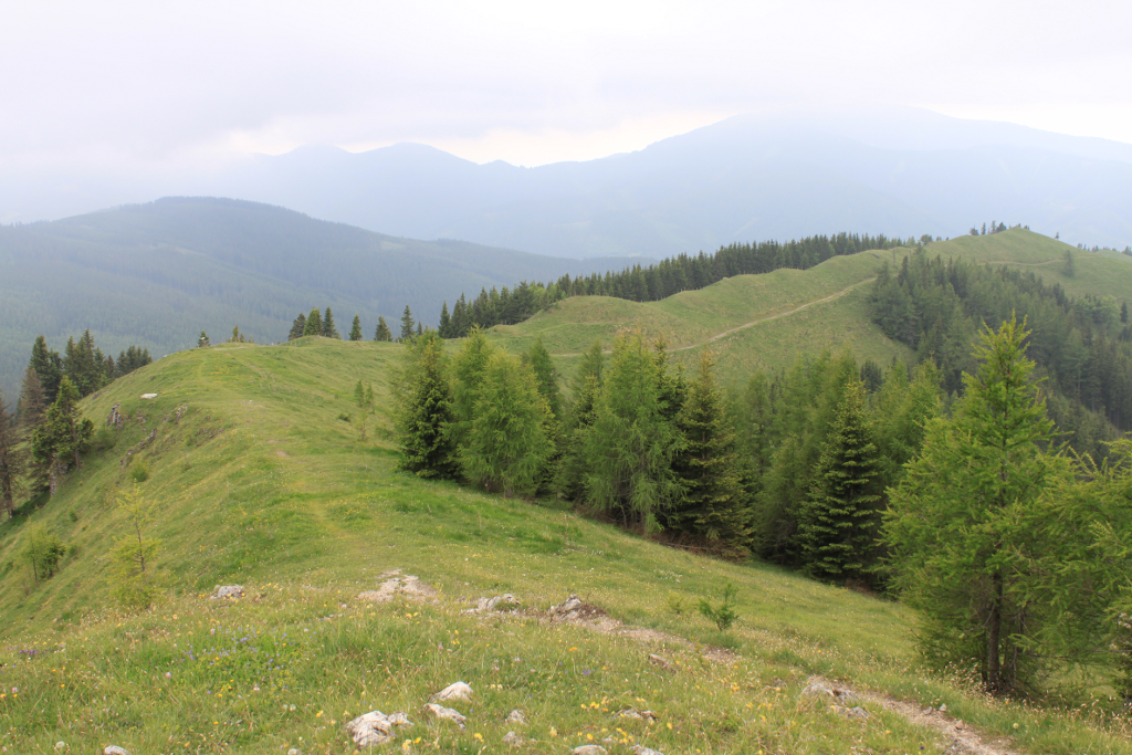 Abbildung 11: Wandern auf dem Kammweg