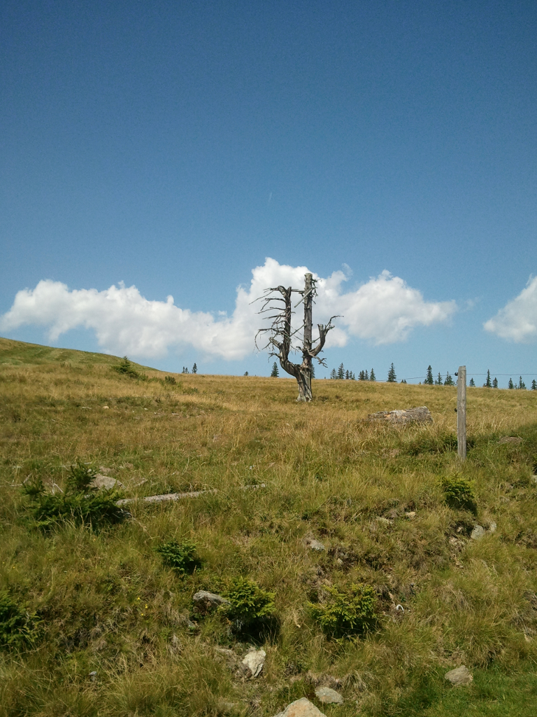 Abbildung 9: Das Denkmal auf der Feistritzer Schwaig