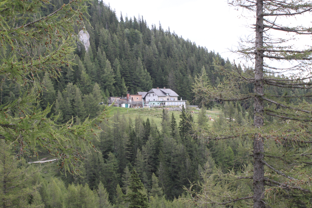 Abbildung 2: Das Waxriegelhaus umrahmt von Bäumen