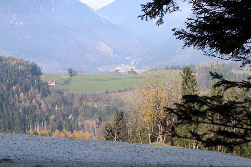 Abbildung 7: Ein Blick auf die Stojer-Höhe vom Weg durch den Wald Richtung Looshaus