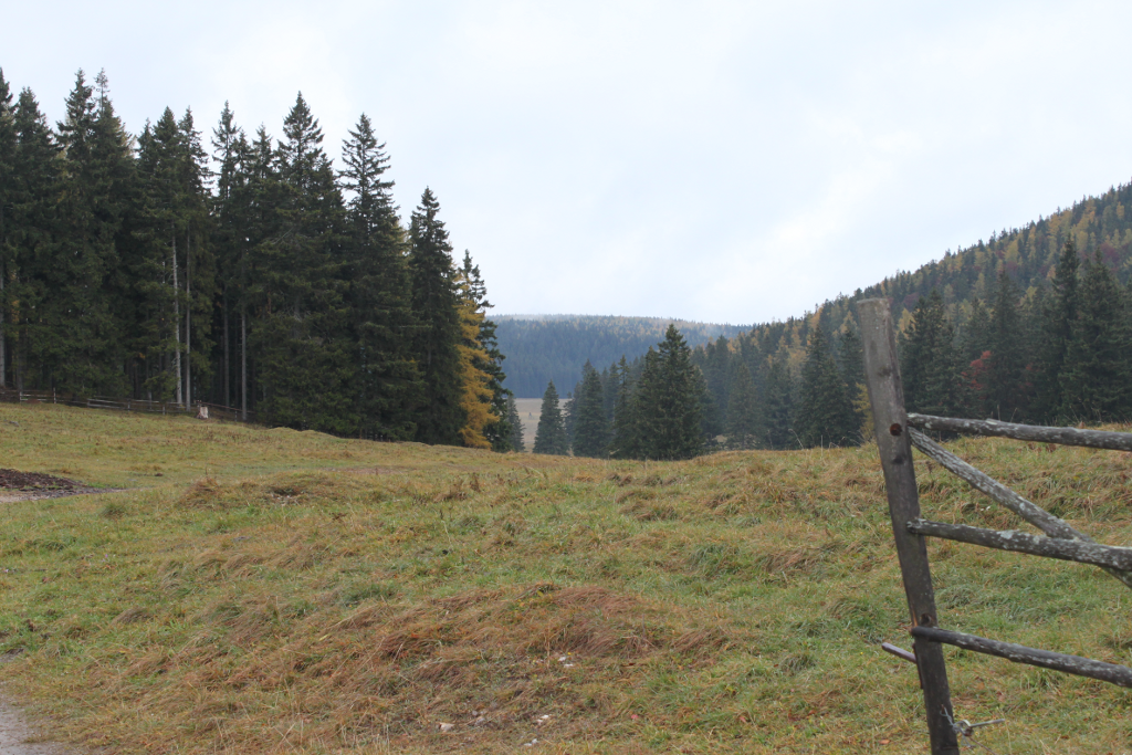 Abbildung 10: Ein Blick auf die Bodenwiese