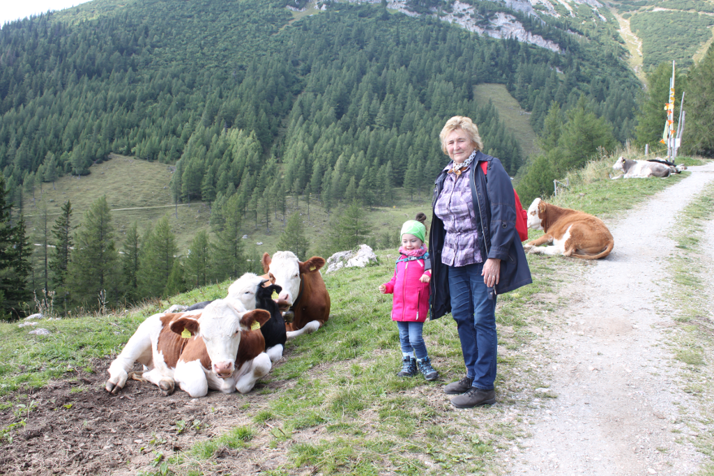 Abbildung 9: Meine Mitwanderinnen inmitten von Kühen