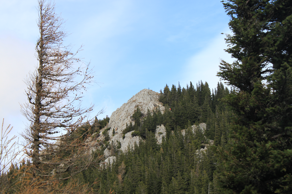 Der Krummbachstein lag jetzt vor mir und war zum greifen nah