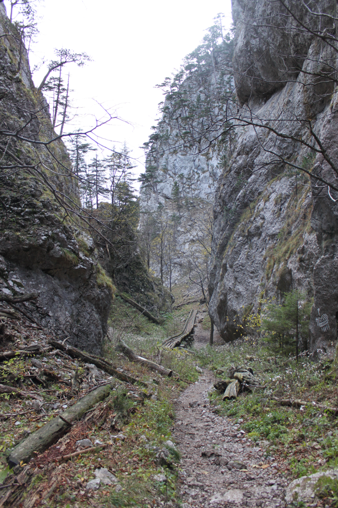 Der Weg in der Eng
