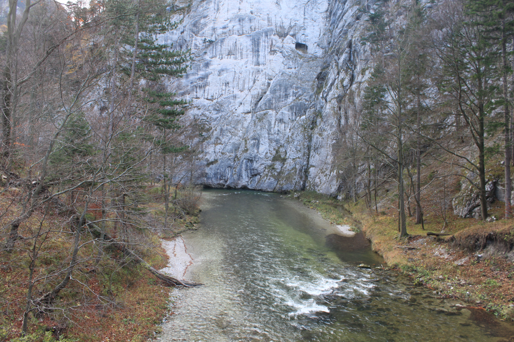 Von einer Holzbrücke der Blick hinunter auf die Schwarza. Im Hintergrund eine Felswand der Rax