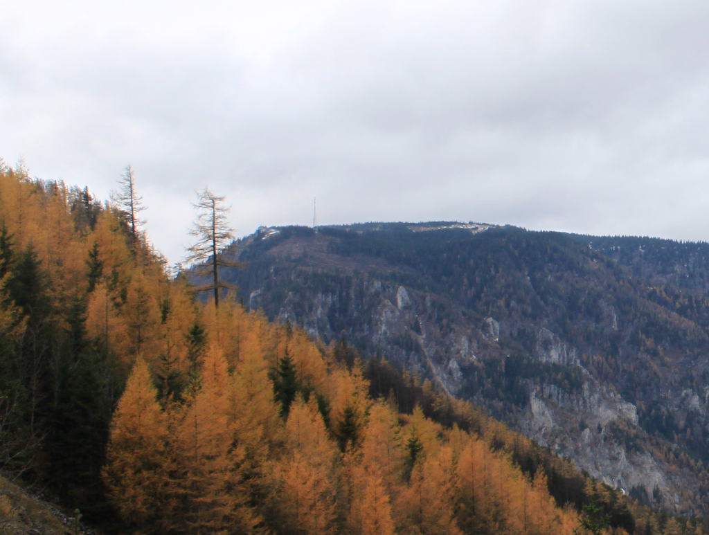 Aussicht auf die Bergstation der Raxseilbahn