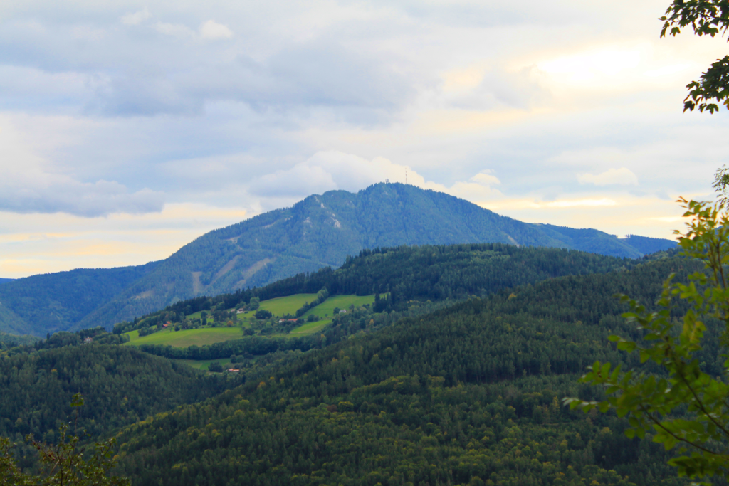 Abbildung 13: 
      Ein Blick auf den Sonnwendstein nach dem Abstieg, knapp nachdem wir wieder aus 
      dem steilen Waldstück herauskamen.