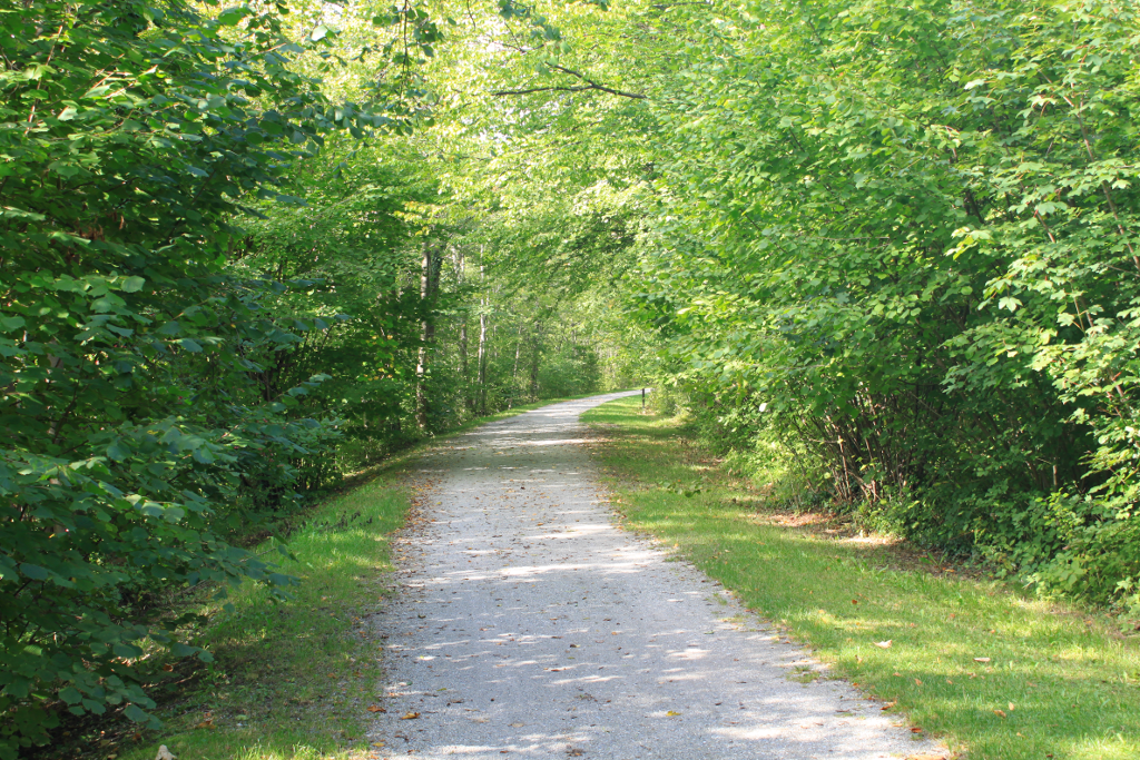 Abbildung 4: 
      Unterwegs auf dem Schwarzatal-Radweg von Wörth nach Gloggnitz durch die Stuppacher Au.