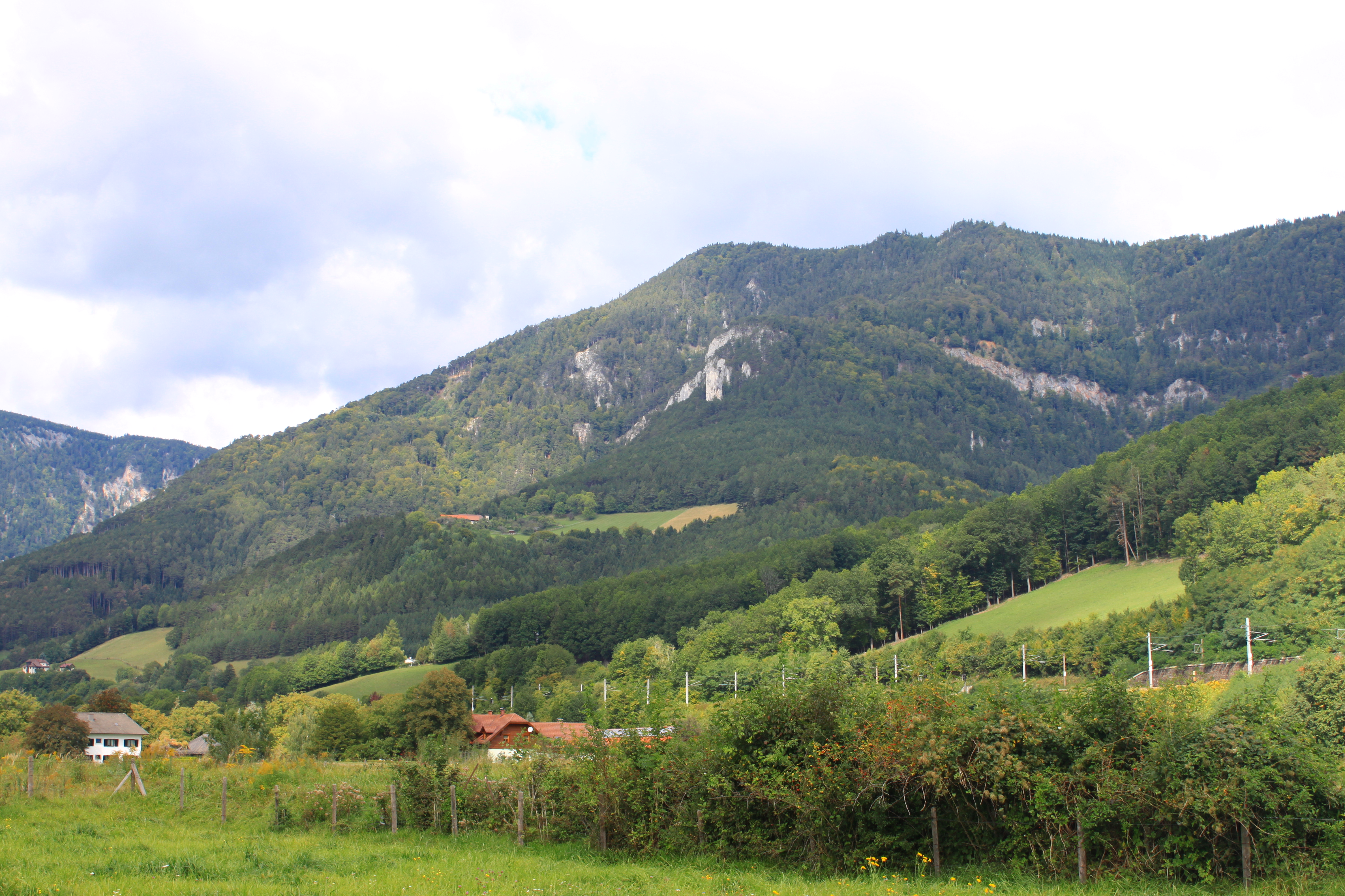 Abbildung 6: 
      Vom Wasserleitungsweg ein Blick hinauf auf die Jubiläumsaussicht und die Bergkante, hinter 
      der sich die Waldburgangerhütte und die Bodenwiese verstecken.