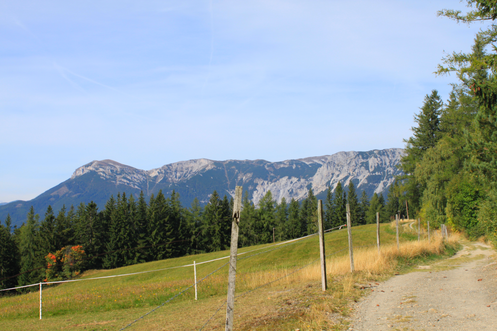Abbildung 9:
      Der obligatorische Blick auf die Rax auf der Zielgeraden zur Speckbacherhütte.
