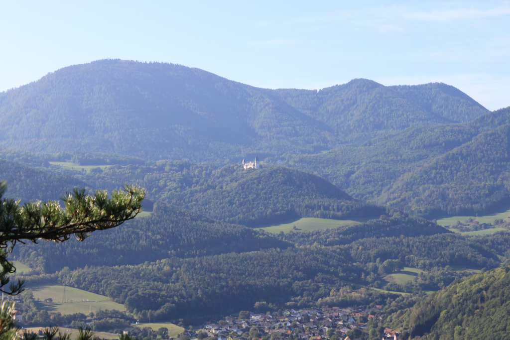 Abbildung 4:
      Burg Wartenstein vom Silbersberg aus