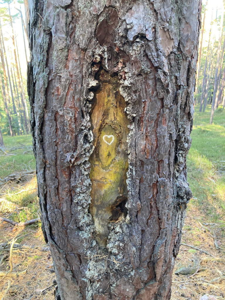 Abbildung 8: Ein Baum mit Herz