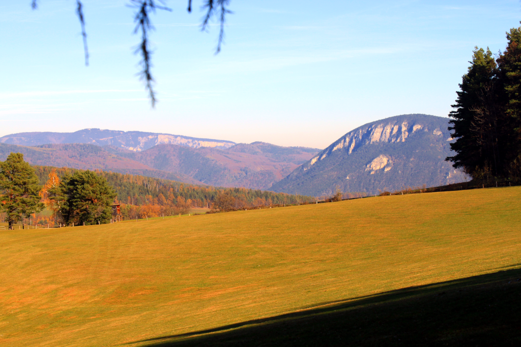 Abbildung 9: Ein Blick auf den Gösing. Im Hintergrund sieht man die Hohe Wand.