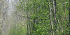 Wanderung 20110416