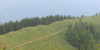 Wanderung 20110602
